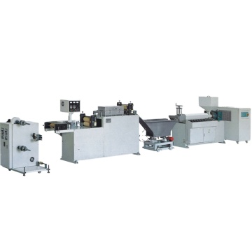 High Accuracy Zipper Extruder Machine