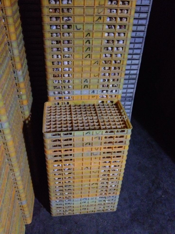 China best quality quail egg transport crate box cage