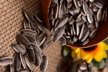 inner mongolia sunflower seeds 361