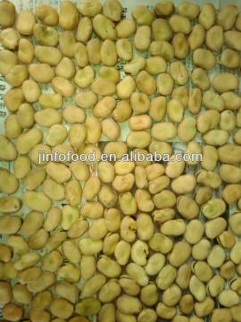 new broad Beans