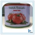Konservierte Tomatenpaste / Dose geschälte Tomate