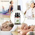 Mejor precio Pure Organic Thuja Essential Oil para el cuidado de la piel