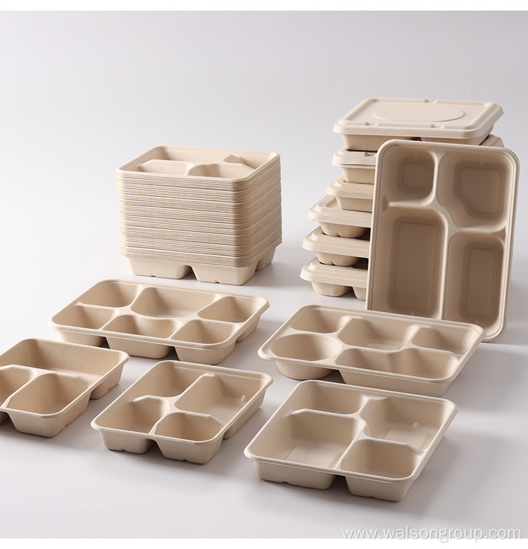 Eco friendly multi-Compartment sugarcane food container