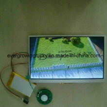 LCD Displayer Video Module