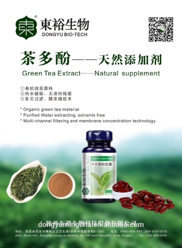 Pure Green tea material green tea extract fat loss