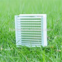 China Color/Clear Hollow Glass Block/Bricks with manufacture price