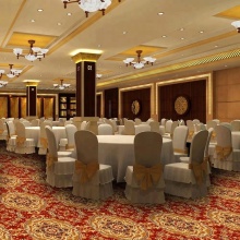 100% polypropylene material with jute backing luxury carpet