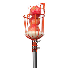 Red Handheld Fruit Picker Robot for Cherry Picking
