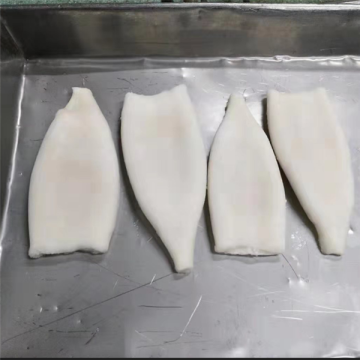 Todarodes Pacificus Frozen Squid Cleaned Tubes U5