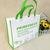 Custom Eco Bag Foldable Bag, Custom Non Woven Fabric Bag