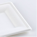 Plaque carrée de cuisine carrée de couleur blanche jetable