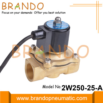 1'' Waterproof Fountain Brass Solenoid Valve 24VDC 220VAC