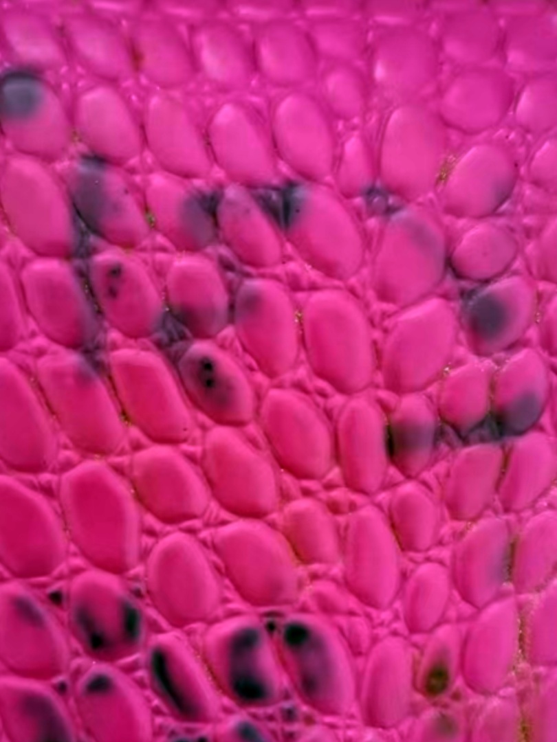 Couro sintético em relevo à prova de arranhões e retardante de fogo