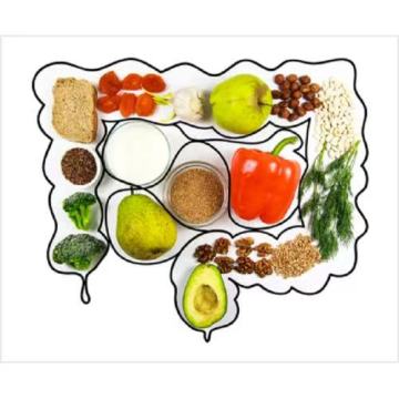 Gentle Organic Carbohydrate Powder for Energy