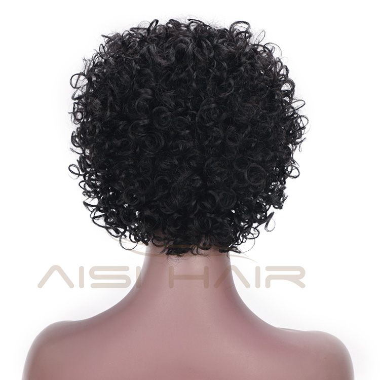 Aisi Hair Short Brazilian Human Hair Wigs Natural Black Machine Made Afro Curly Human Hair Wigs For Black Women
