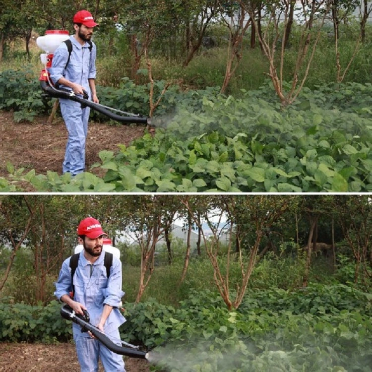 Agricultural Knapsack Gasoline Power Sprayer 3wf-3A