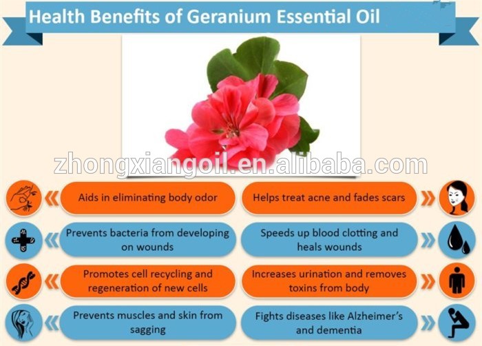 Geranium Essential Oil น้ำมันหอมระเหยลดน้ำหนัก