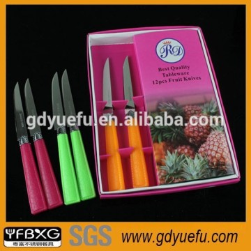 Kitchen Fruit Knife with Plastic Handle