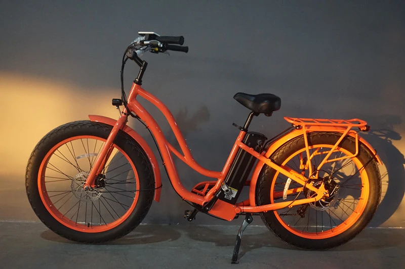 48V500W High Power Electric Bike with Pedals