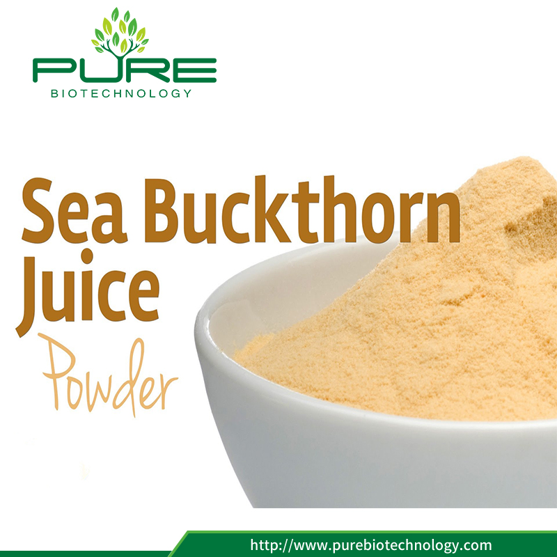 2017 Hot Sale สารสกัดจากธรรมชาติ Sea Buckthorn 100% 2017 Hot Sale 100% Natural Sea Buckthorn Powder Extract
