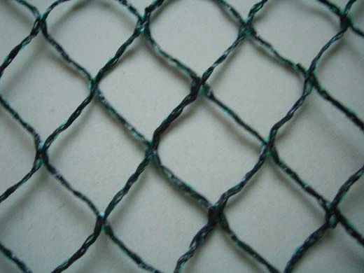 UV Protection Anti-Bird Net - 2 (BN010)