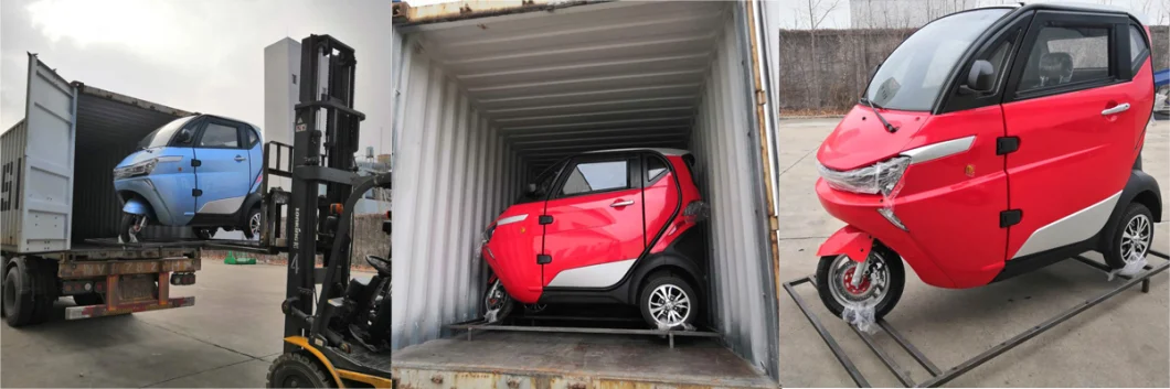 EEC L2e Approved China Supplier Electric Car