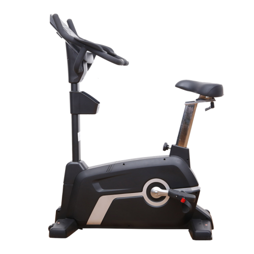 Máquina de cardio de fitness comercial bici vertical