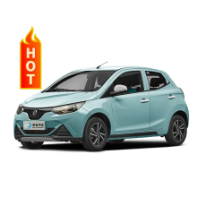 Jiang Ling Kylin 2024 Electric Hatchback: Mini Car by Reynold Jiang Ling Group