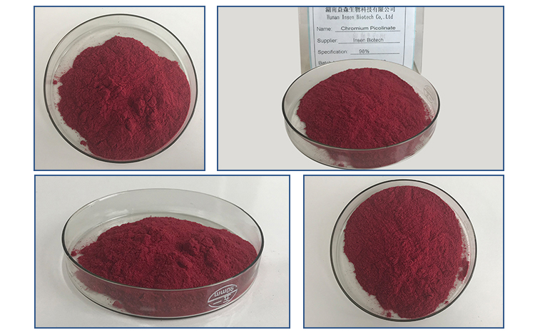 Manufacturer Supply Chromium Picolinate Powder