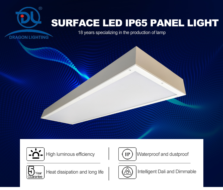 IP65 60W rectangle LED surface panel light for hospital laboratory pharmaceutical factory food factory decontamination chamber