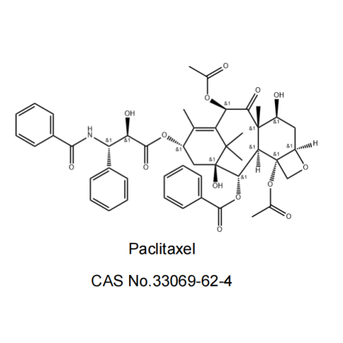 파클리탁셀 API 분말 CAS 33069-62-4