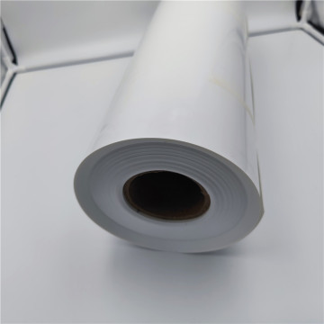 Polipropileno PP PP PP Roll para envases de envases