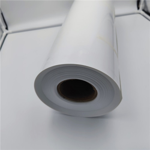 PP Film Roll para Termoforming Food Packaging Bandey