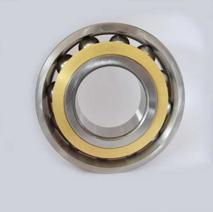 Oil Free Bearing