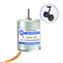 12V High Torque DC Mini Brushless Motor