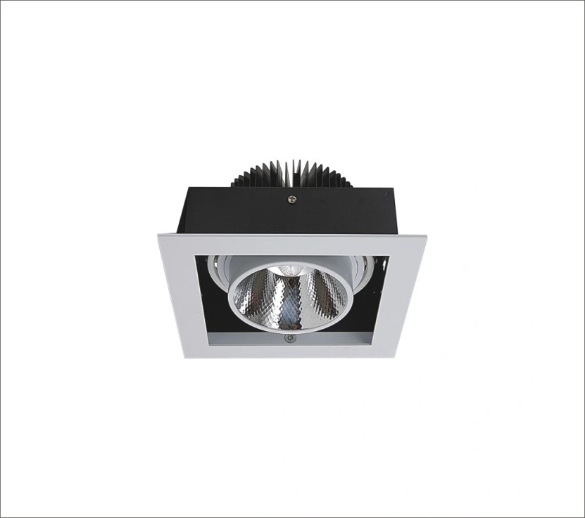 COB 30W LED Downlight for Store Lighting & Gallery Lighting