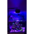 LED-Aquarium-Licht Süßwasserwifi-UV-Steuerung S80