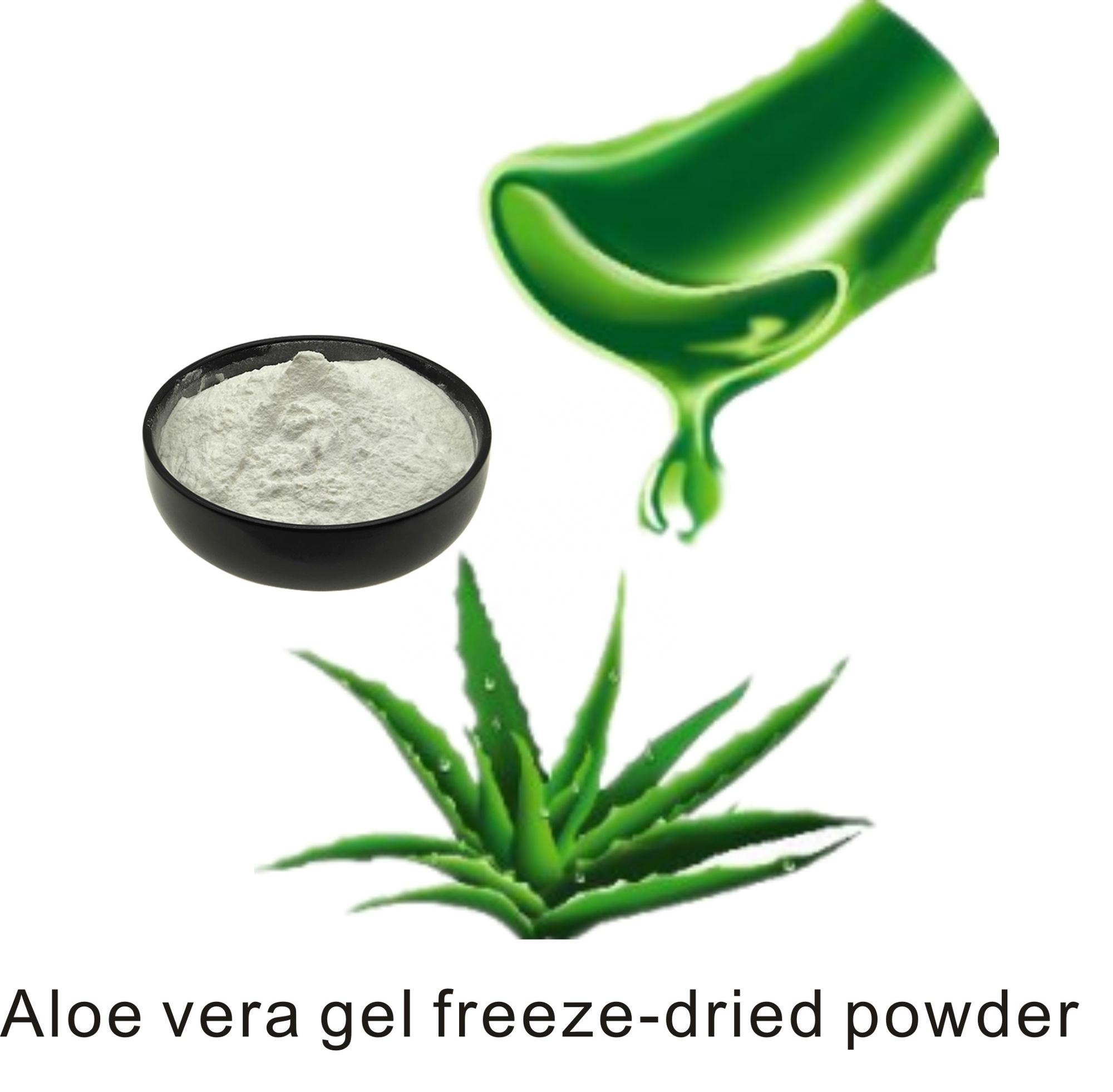 Natural Aloe Vera Gel Extract 2001 Aloe Vera Gel Freeze Dried Powder