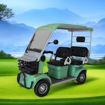 Elderly mobility electric vehicles