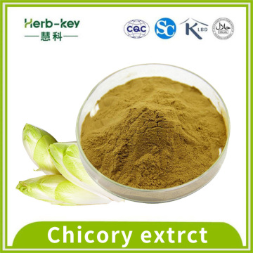 Lower blood sugar chicory extract 90% inulin