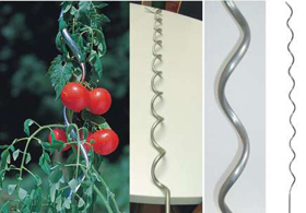 Tomato spiral stakes