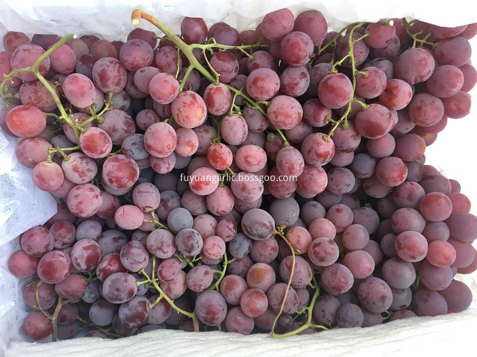 red grapes 5