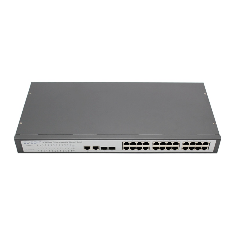 100m Ethernet Switch