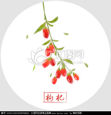 Organic lycium wolfberry goji berry not stick goji
