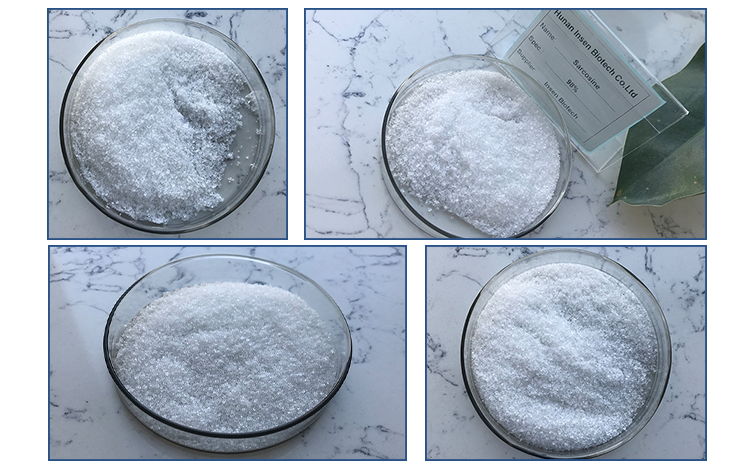 Reliable Factory Supply Top Quality Sarcosine