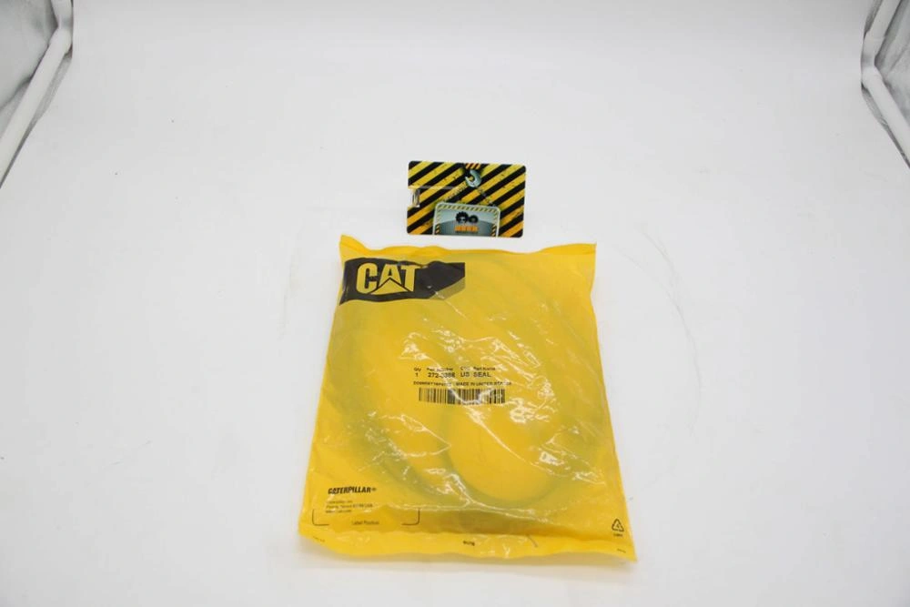 Kochadagi olomonga Cunnilingus