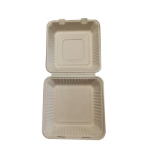 Bagasse Sugarcane Container Clamshell Hamburger Box