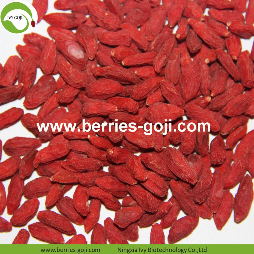 Goji berry is a kind of rare medicinal herbs, goji berry contains Protein, Carbohydrates, Vitamin C and minerals and so on. There are many benefits to the healthy, it can support eye health and improve your vision, support healthy liver function, support normal kidney function, maintain healthy blood pressure, make your feel and look younger, improve sexual function and so on, you can eat every day.