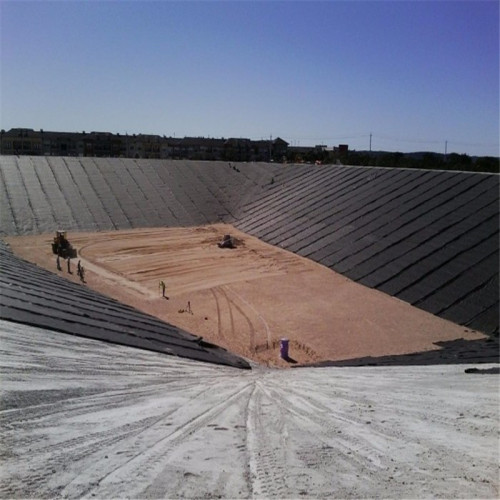 Double textured HDPE Geomembrane for sale