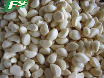IQF Garlic Segments